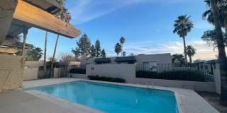 Palm Garden Gallery 30