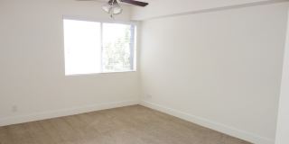 Elán Avante Apartment Homes Gallery 5