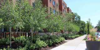 Bierman Place- Student Housing Gallery 44