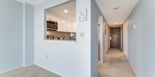 925 N Halifax Avenue unit: 410 Gallery 5