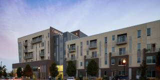 The Corvina Gallery 1