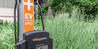 Northwood Gallery 13