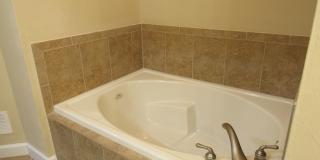 424 Luna Bella Ln Apt 223 424 Luna Bella Ln Apt 223 Gallery 15