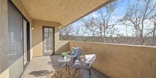 25224 Birch Grove Lane 25224 Birch Grove Lane Gallery 32