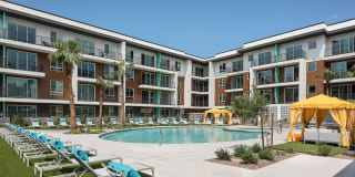 Roadrunner on McDowell Gallery 11