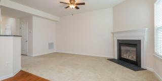 473 Panorama View Loop Gallery 7