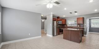 Beautifully Renovated 3-Bedroom, 2-Bath Tampa Home in Forest Hills Gallery 5