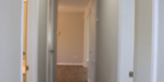Awesomely Located 3 bedroom 2 bath Available! Gallery 19