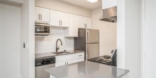 Avery Park Gallery 15