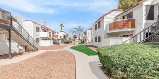 Metro Tucson Gallery 47