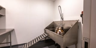 Halstead Merrimack Gallery 5