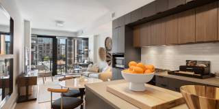 Tribeca Noma Gallery 30