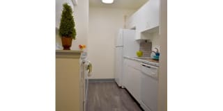 Allyson Gardens II Gallery 39