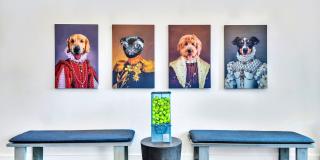 Commodore Old Town Manchester Gallery 29