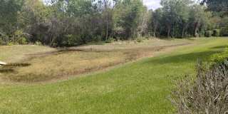 Beautiful 3-bedroom, 2-bath rental home Gallery 4