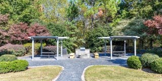 The Palmer The Palmer Gallery 19