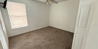 2918 BLOOMING ALAMANDA Loop Gallery 16