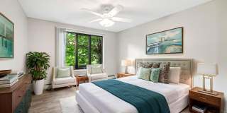 Windsor South Apartments Gallery 5