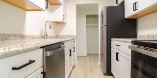 Newly Renovated 2 Bedroom Apartment Gallery 21