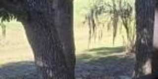 2945 Dove Haven Court unit: 707 Gallery 17