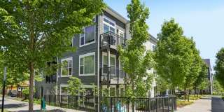 Anthology Apartments Gallery 34
