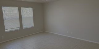3935 ANGEL TRUMPET Gallery 4