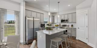 Poplar Row Gallery 23