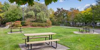 Sofi at Salem Station Gallery 54