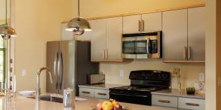 Settlement Place Gallery 196