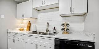 Compass Vista Gallery 14