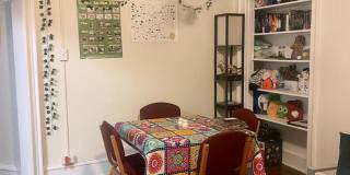 Student Housing - Newly Renovated Gallery 26