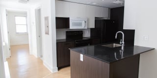 Ambassador Gallery 40