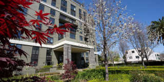 Vendome Place Gallery 1
