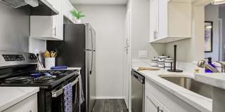 The Sonata Gallery 6