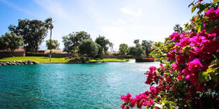 40963 Preston Trail Gallery 44