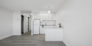 York North Gallery 5