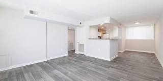 Renaissance Club Gallery 26