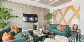 The Novus Apartments Gallery 8