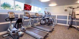 Town Place Gallery 13