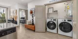 The Grove On Main Gallery 5