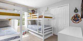 2933 BANANA PALM Drive Gallery 17