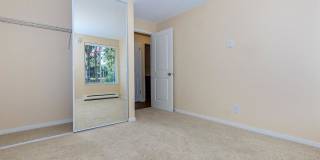 Carrington Gallery 57