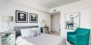 NOHO 55 Luxury Living Gallery 13