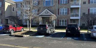 315 Sophee Lane Gallery 1