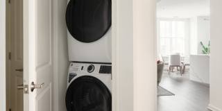 Chevy Chase Lake Gallery 10