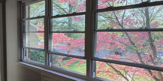 14 Windsor Terrace Gallery 24
