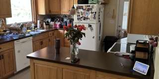 175 Shirley Ann Drive Gallery 1