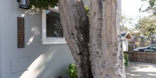 Remodeled Pacific Grove 2-Bedroom with Gourmet Kitchen Gallery 28