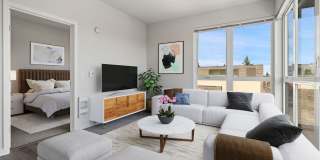 Maple Leaf Gallery 27