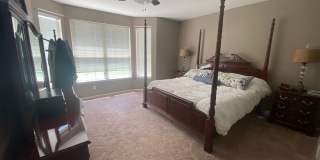 Great Home in Castle Rock Gallery 10